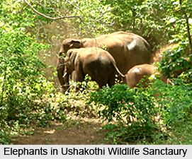 Ushakothi Wildlife Sanctaury, Sambalpur,  Orissa