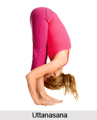 Uttanasana