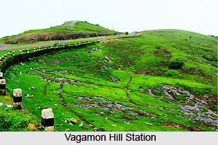 Vagamon, Hill station in Kerala