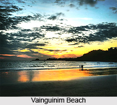 Vainguinim Beach, Goa