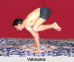 Vakasana