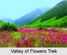 Valley of Flowers Trek, Trekking in India