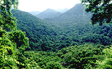 Vandanmedu