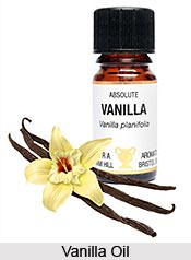 Vanilla Oil