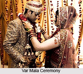 Var Mala Ceremony, Indian Wedding