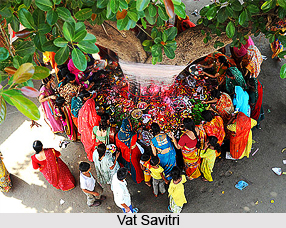 Vat Savitri , Indian Festival