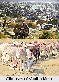 Vautha Mela, Gujarat