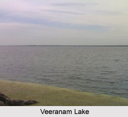 Veeranam Lake, Tamil Nadu
