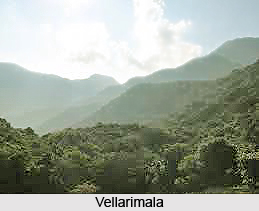 Vellarimala, Wayanad District, Kerala