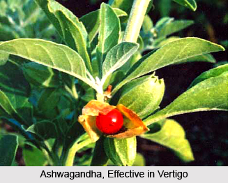Vertigo or Bhrama, Neurological Disorder