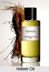 Vetiver Oil