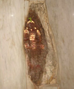 Vidyaranya , the Sage