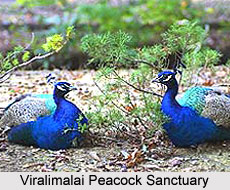 Viralimalai, Tamil Nadu