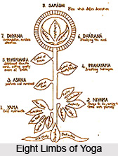 Vivekakhyatih aviplaca hanopayah, Patanjali Yoga Sutra