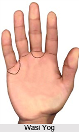 Wasi Yog , Palmistry
