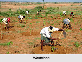 Wasteland