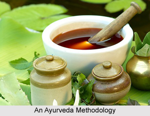 Western Thoughts on Ayurveda