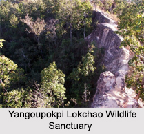 Wildlife Sanctuaries of Manipur