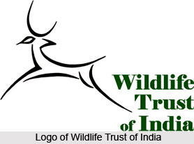 Wildlife Trust of India (WTI)