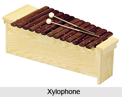 Xylophone, Percussion Musical Instruments