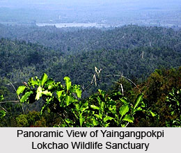 Yaingangpokpi Lokchao Wildlife Sanctuary, Chandel District, Manipur