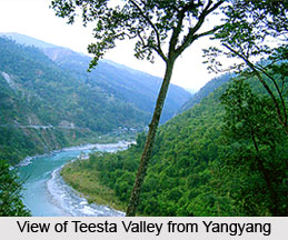 Yangyang, Sikkim