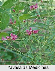 Use of Yavasa as Medicines, Classification of Medicine