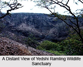 Yedshi Ramling Wildlife Sanctuary, Osmanabad District, Maharashtra