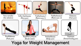 Yoga for Weight Management, Yoga