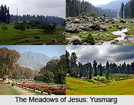 Yusmarg, Jammu and Kashmir