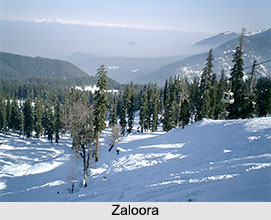 Zaloora, Baramulla District, Jammu and Kashmir