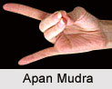 Apan Mudra