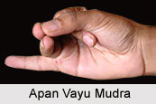 Apan Vayu Mudra