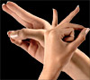 Bhramara Mudra