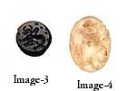 Seals