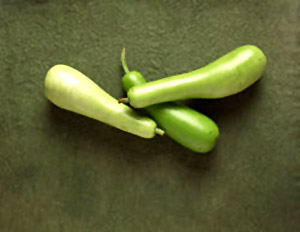 Vegetables bottlegourd