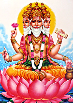 brahma