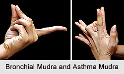 Bhudi Mudra