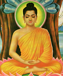 Gautama Buddha