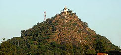 Canary Hill