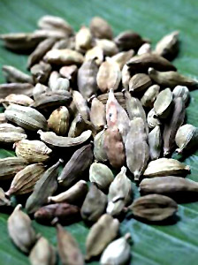 Betel chewing cardamon