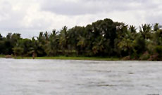 Cauvery River