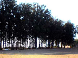 Bordi , Maharashtra