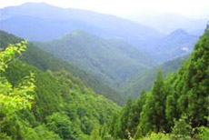 Dhangi Hills