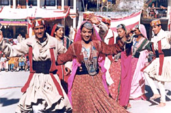 Gaddi Tribe - Kangra