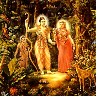 Maricha in the disguise of a golden deer moved Rama