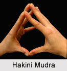 Hakini Mudra