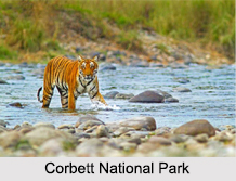 Tourism In Uttarakhand