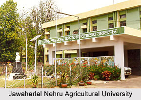 Jawaharlal Nehru Agricultural University