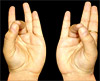 Joint Mudra
